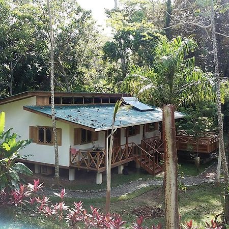 Casa Del Congo Villa Cahuita Exterior foto